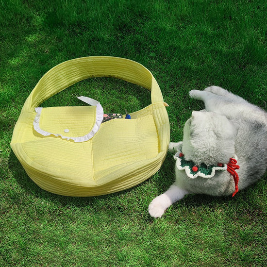 Large Canvas Pet Bag - Portable Handheld and Crossbody Shoulder Bag for Cats and Small Dogs like Teddies
