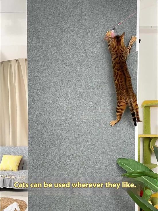 Multifunctional Cat Scratching Mat: Custom - cut at Will, a Treasure of Fun for Cats