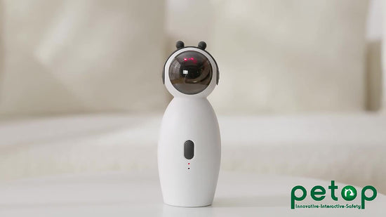 Laser Cat Toy: A USB - Charged, Speed - Adjustable Smart Cat - Teasing Wonder