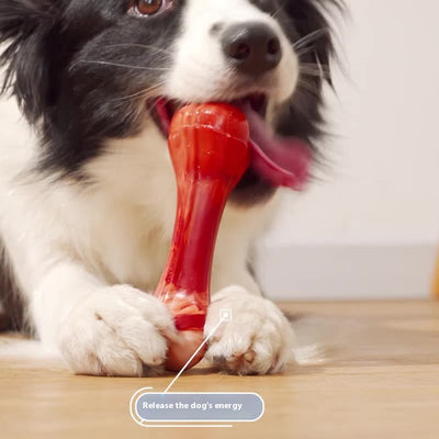 Durable PP Material Simulated Bone Dog Toy - Ideal for Medium - Sized Dogs' Chewing and Teething Needs