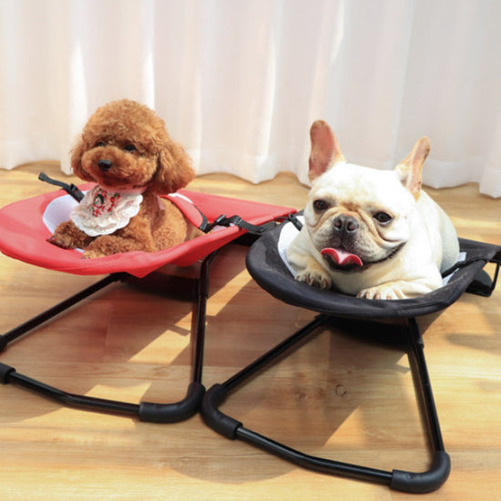 Exclusive Luxury Rocking Chair for Pets: Internet - famous, Comfortable Haven for Cats and Dogs