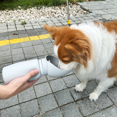 Essential Travel Item: Portable Foldable Water Dispenser for Dogs on - the - go