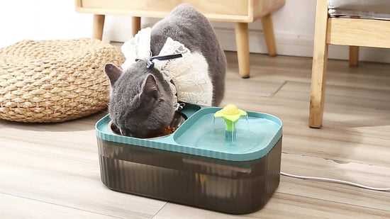 All - in - One Cat Automatic Feeder and Water Dispenser with Large Capacity Flowing Water Pet Fountain