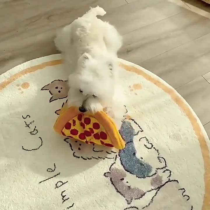 Fun Pizza - shaped Squeaky Chew Toy for Dogs - Interactive Training & Tear - resistant Pet Teething Toy with BB Sound