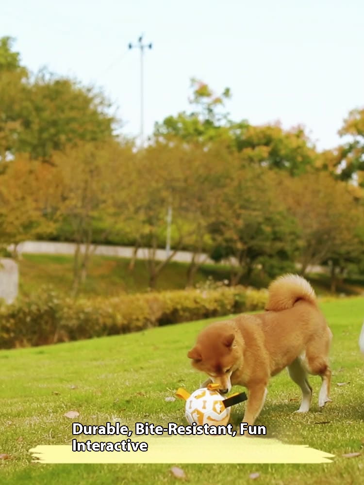 Outdoor Energetic Partner for Pet Dogs: Chew - Resistant, Squeaky and Inflatable Soccer Ball Toy