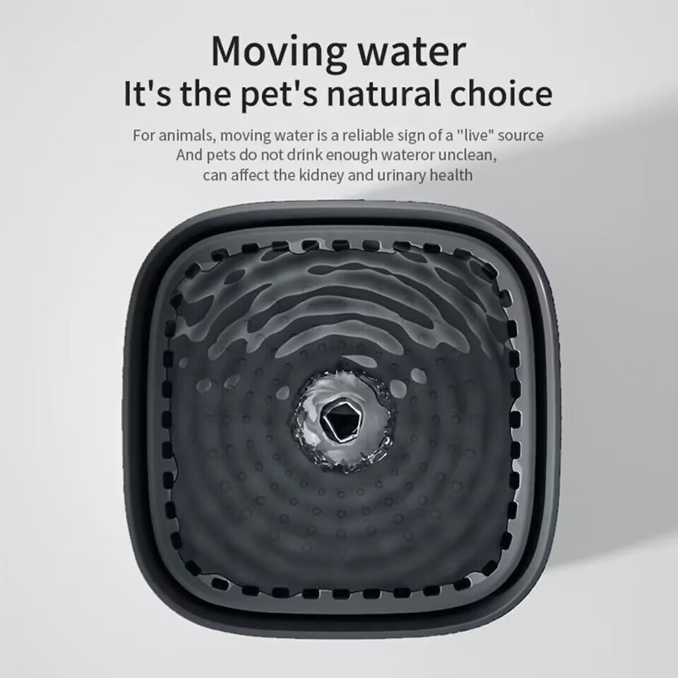 Automatic filtering and circulating pet water dispenser