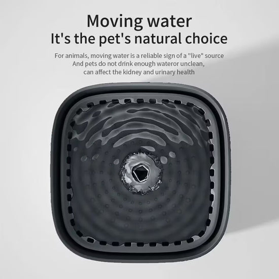 Automatic filtering and circulating pet water dispenser