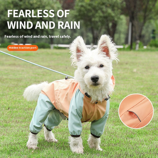 Waterproof All - in - One Four - Legged Tractable Raincoat for Small Dogs - Ideal for Bichons and Teddies