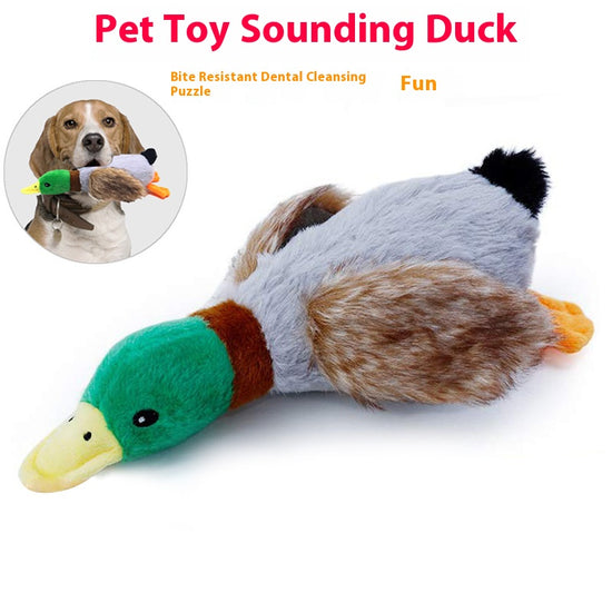 Neues 28 cm großes Quietscheentchen-Haustierspielzeug aus Plüsch – realistisches Wildenten-Design für Hunde