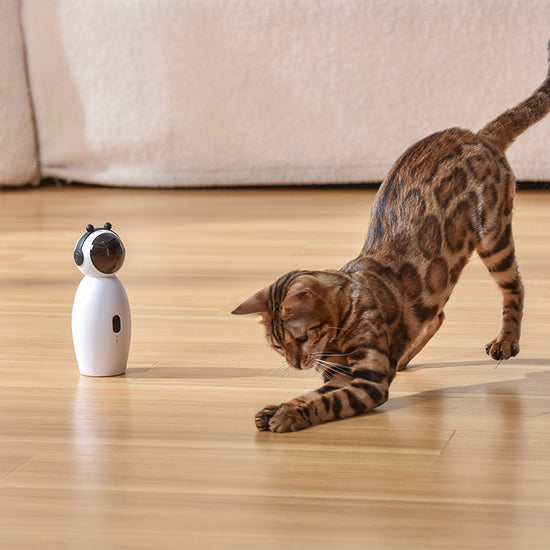 Laser Cat Toy: A USB - Charged, Speed - Adjustable Smart Cat - Teasing Wonder