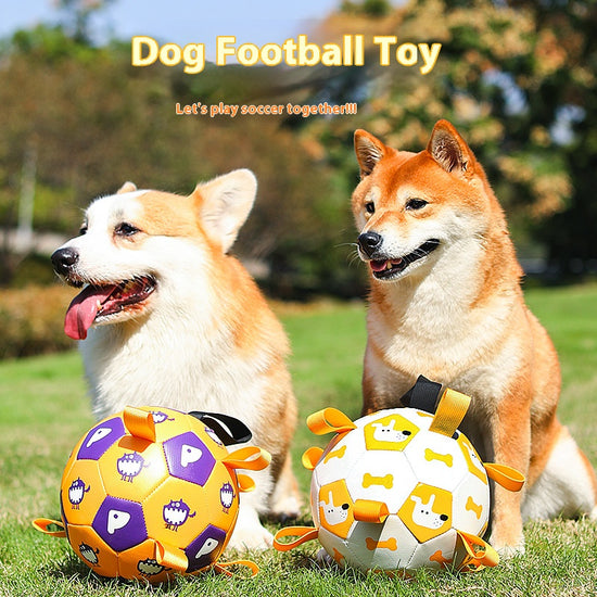 Outdoor Energetic Partner for Pet Dogs: Chew - Resistant, Squeaky and Inflatable Soccer Ball Toy