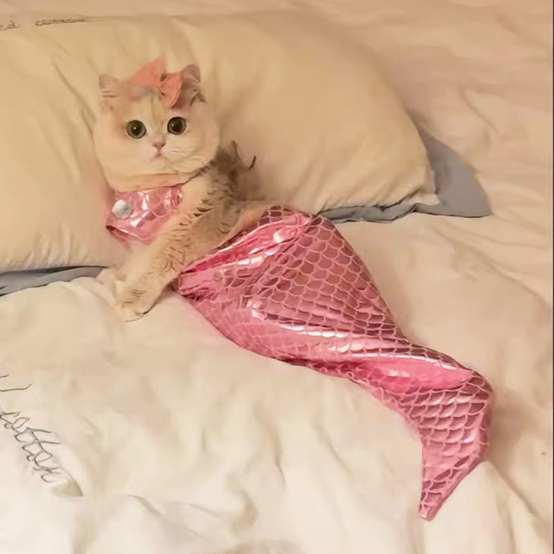 Your Cat's Exclusive Mermaid Fantasy: Hilarious Ragdoll Mermaid Tail Costume, Capture Adorable Moments
