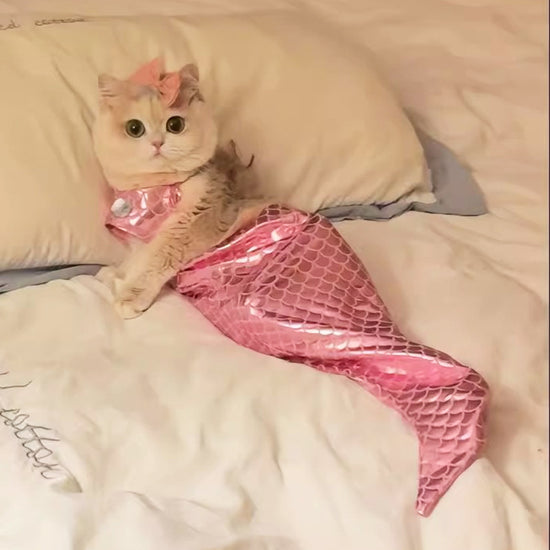 Your Cat's Exclusive Mermaid Fantasy: Hilarious Ragdoll Mermaid Tail Costume, Capture Adorable Moments