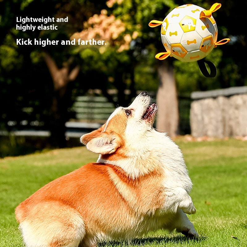 Outdoor Energetic Partner for Pet Dogs: Chew - Resistant, Squeaky and Inflatable Soccer Ball Toy