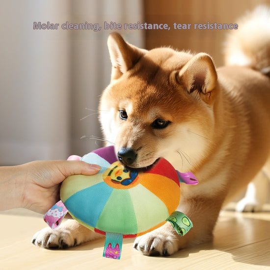 Exclusive Fun for Dogs: Plush Squeaky Frisbee, a Must - have for Border Collie Training