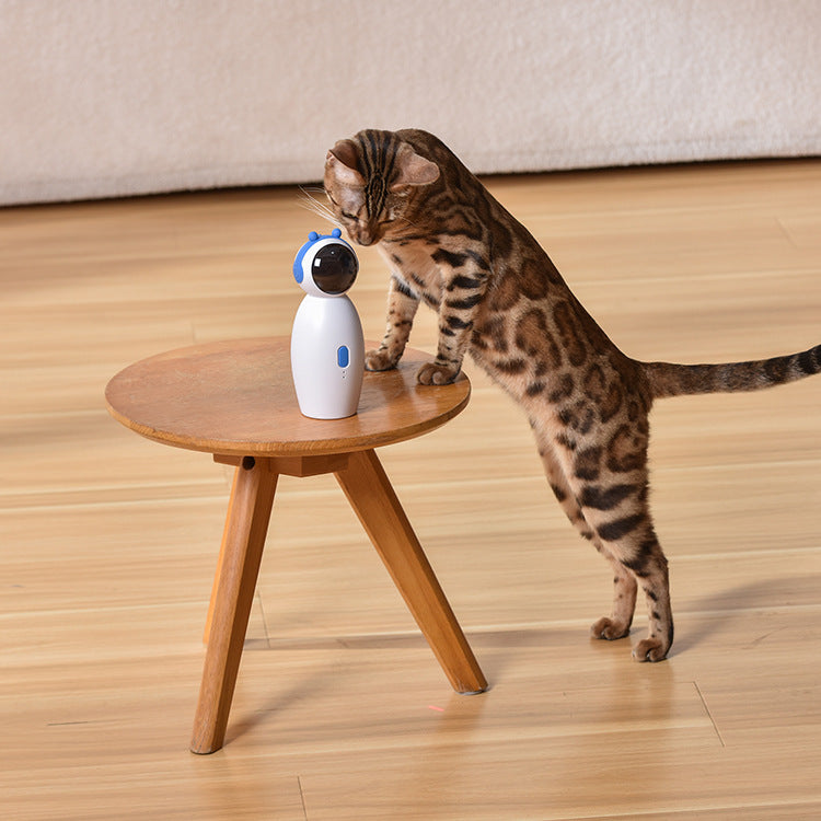 Laser Cat Toy: A USB - Charged, Speed - Adjustable Smart Cat - Teasing Wonder