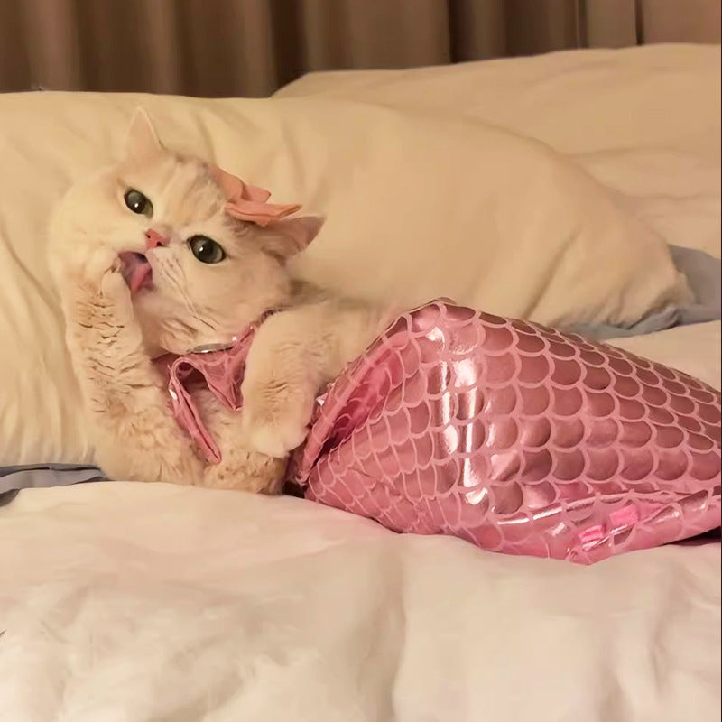 Your Cat's Exclusive Mermaid Fantasy: Hilarious Ragdoll Mermaid Tail Costume, Capture Adorable Moments