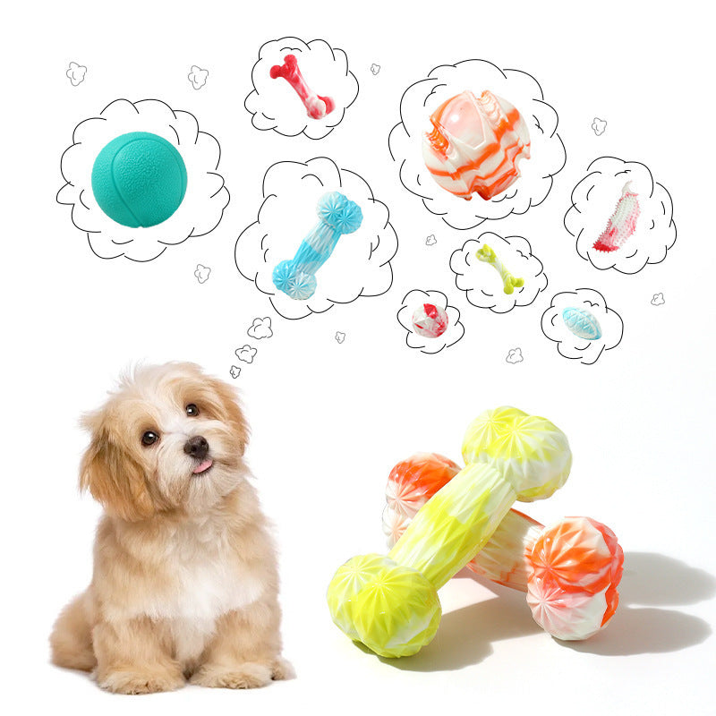 Exclusive Fun - filled Teething Wonder for Dogs: Simulated Bone - Ball Toys