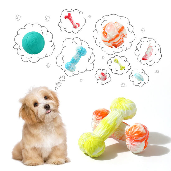 Exclusive Fun - filled Teething Wonder for Dogs: Simulated Bone - Ball Toys