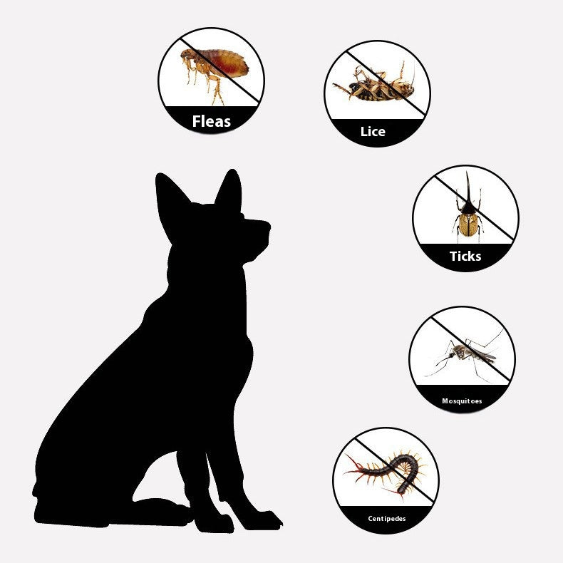 Pet Anti - Insect Collar - Flea and Tick Control for Dogs and Cats
