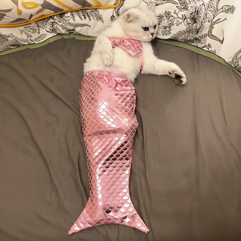 Your Cat's Exclusive Mermaid Fantasy: Hilarious Ragdoll Mermaid Tail Costume, Capture Adorable Moments