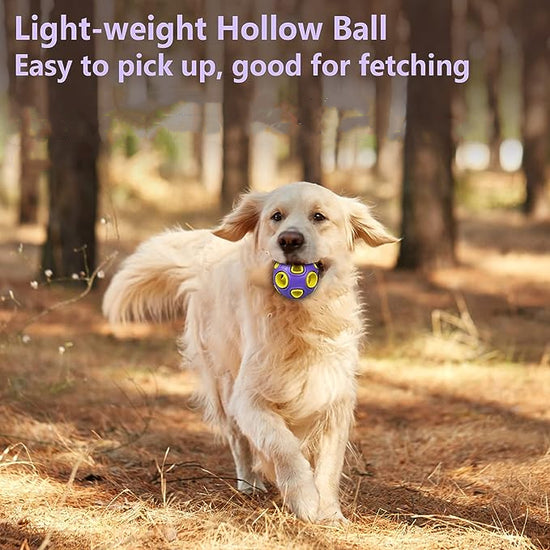 Two tone rubber pet toy ball