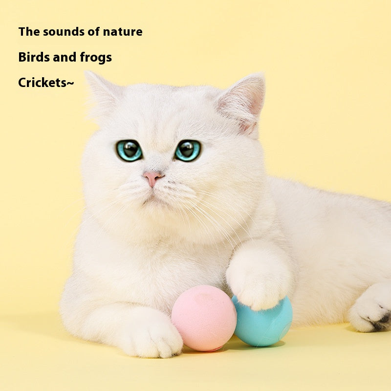 New Release! Multi - functional Barking Ball, a Must - have for Cats' Self - entertainment and Fun