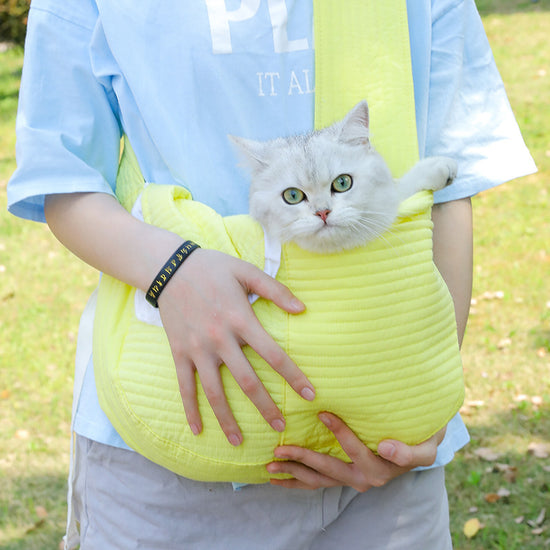 Large Canvas Pet Bag - Portable Handheld and Crossbody Shoulder Bag for Cats and Small Dogs like Teddies
