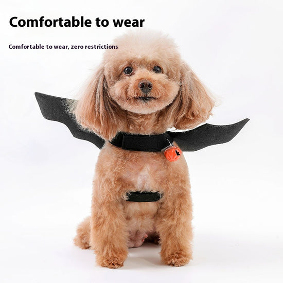 Must - have for Pets' Halloween! Bat - Wing and Bell - adorned Transformation Outfits for Cats and Dogs