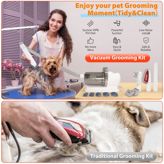 Multi - functional Pet Grooming Vacuum Set for Dogs - the Perfect Pet Care Companion