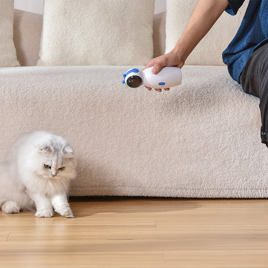 Laser Cat Toy: A USB - Charged, Speed - Adjustable Smart Cat - Teasing Wonder