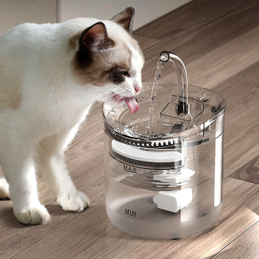 Intelligenter automatischer Wasserspender für Haustiere, 2-Liter-Filterwasserspender für Hunde und Katzen 