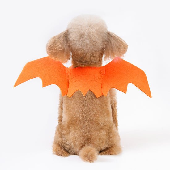 Must - have for Pets' Halloween! Bat - Wing and Bell - adorned Transformation Outfits for Cats and Dogs
