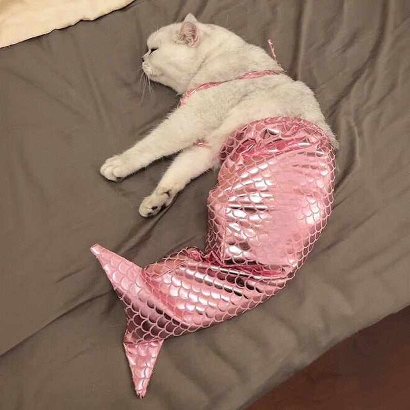 Your Cat's Exclusive Mermaid Fantasy: Hilarious Ragdoll Mermaid Tail Costume, Capture Adorable Moments