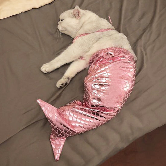 Your Cat's Exclusive Mermaid Fantasy: Hilarious Ragdoll Mermaid Tail Costume, Capture Adorable Moments