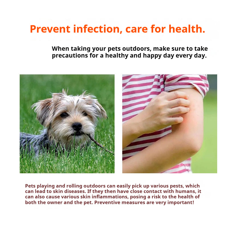 All - around Protection: Universal Anti - Parasite Collars for Cats and Dogs, Flea and Lice Control in One Step