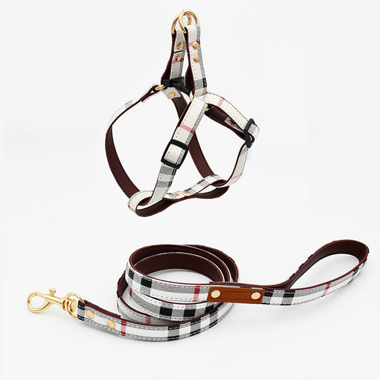 Trendy Monogram Leather Pet Dog Harness, Leash and Collar Set for Small and Medium-Sized Dogs