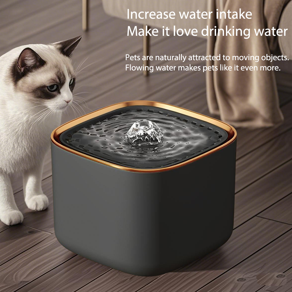 Automatic filtering and circulating pet water dispenser