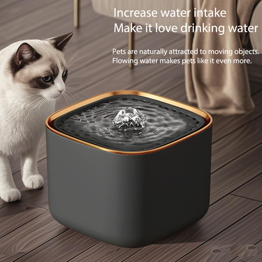 Automatic filtering and circulating pet water dispenser