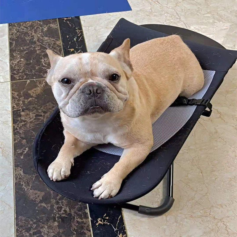 Exclusive Luxury Rocking Chair for Pets: Internet - famous, Comfortable Haven for Cats and Dogs