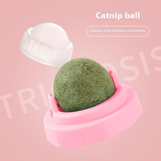 Catnip Lick - Fun Balls: Teething, Teeth Cleaning, Digestion - Aiding Nutritious Cat Treats